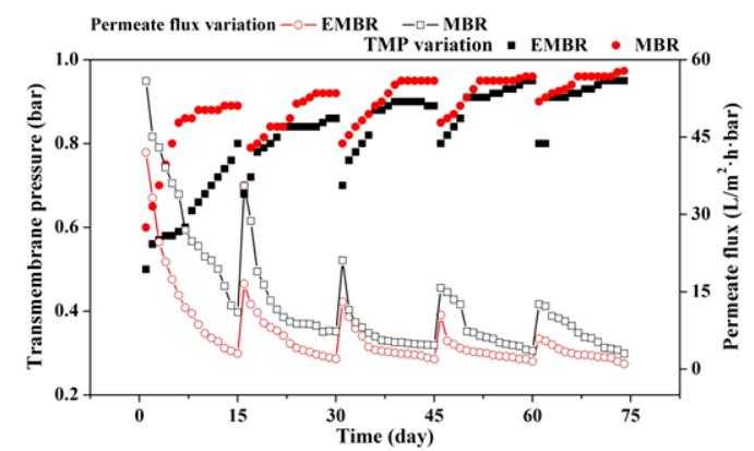 EMBR和MBR中TMP随操作时间的变化结果