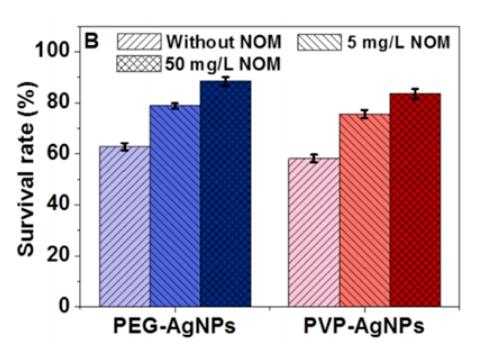 NOM浓度对PEG-AgNPs和PVP-AgNPs生物效应的影响