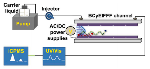 BCyElFFF-UV/Vis-ICPMS在线联用系统结构图